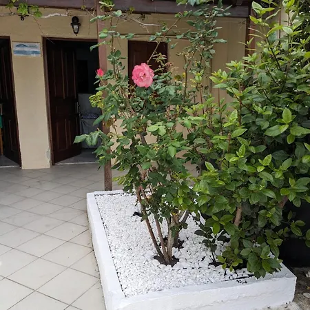 Apartment Kamelia Kokkari